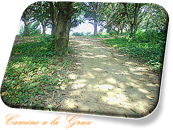 - Finca de Pastora -
